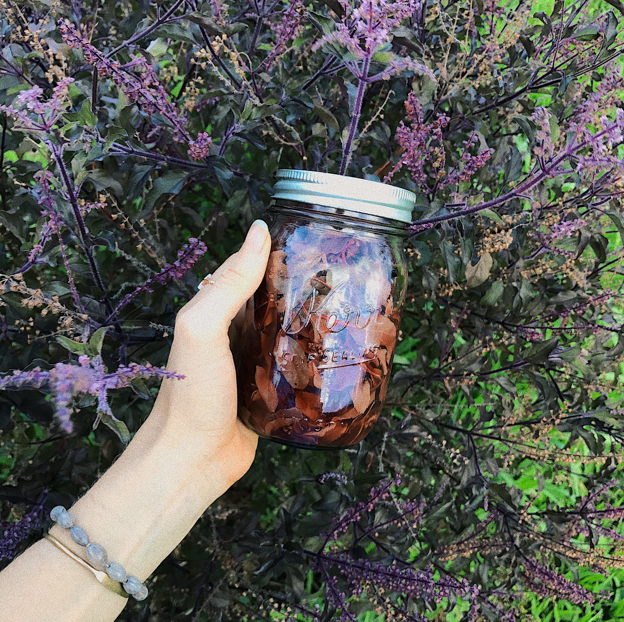 Holy Tulsi Tincture Atone