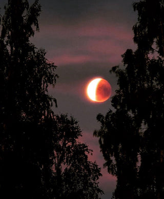 ~ Super Full Blood Moon + Total Lunar Eclipse on 1/20 in Leo ~